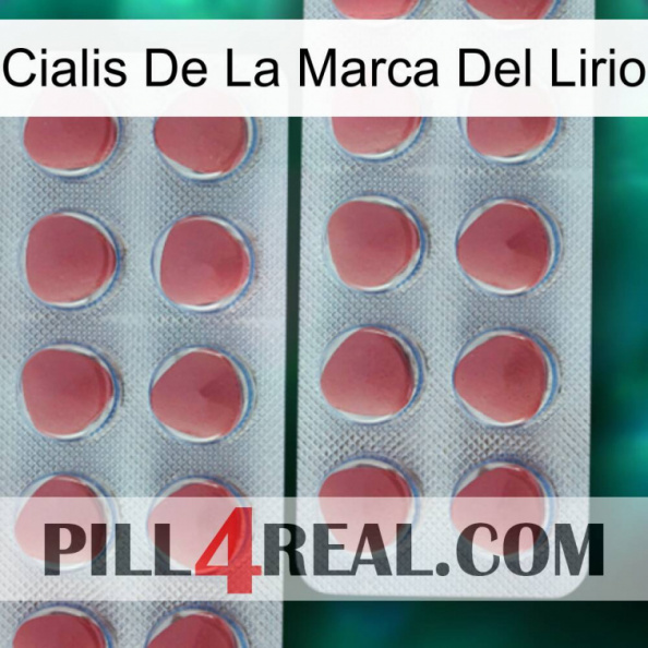 Lily Brand Cialis 19.jpg